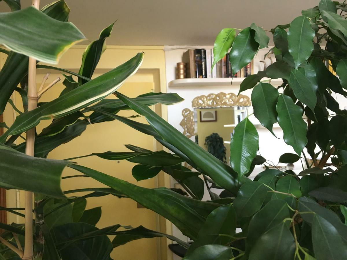 Finestra Su Genova Appartement Buitenkant foto